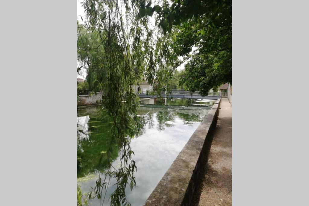 Maison Accueillante Gondrecourt-le-Chateau Bagian luar foto